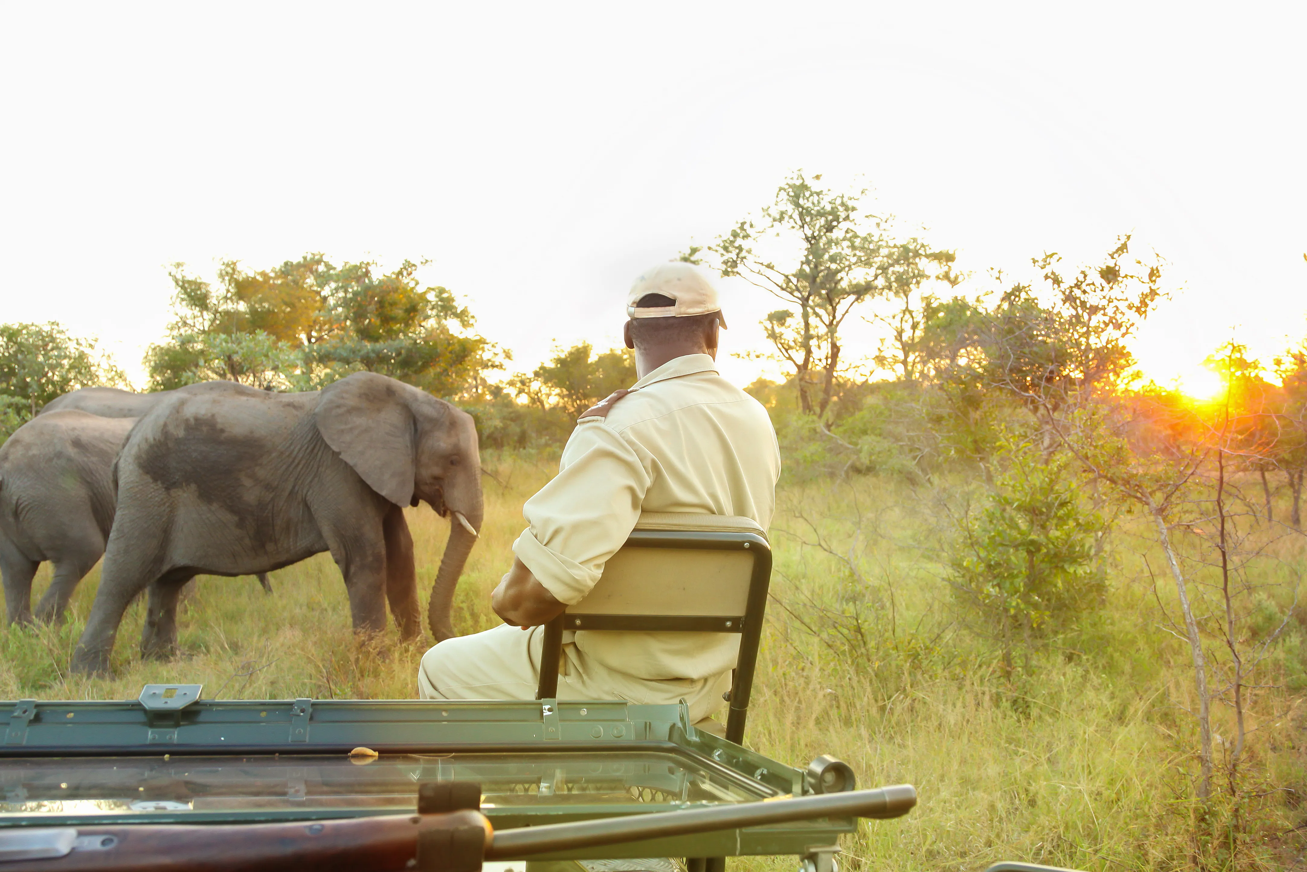 back view of an african male watching elephants